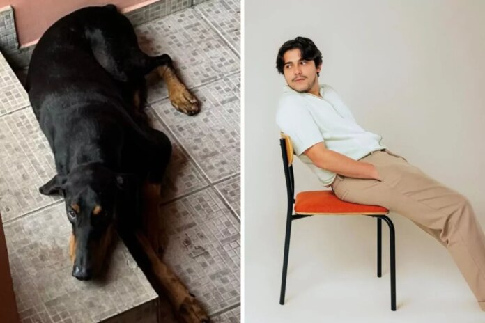 Morre o cachorro do cantor Matheus Santaella