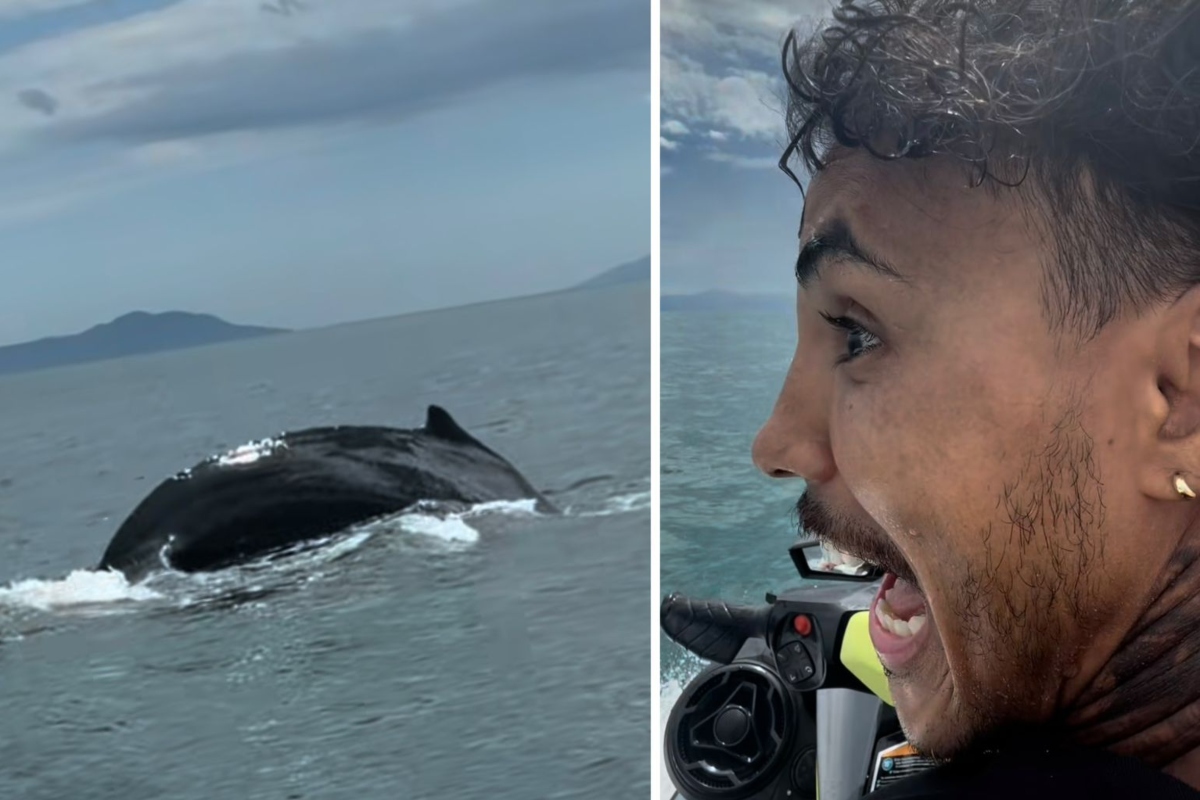 MC Livinho vê baleia em Ubatuba