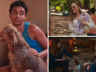 Os pets Bagunça, Patricinha e Sofrência