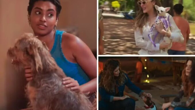 Os pets Bagunça, Patricinha e Sofrência