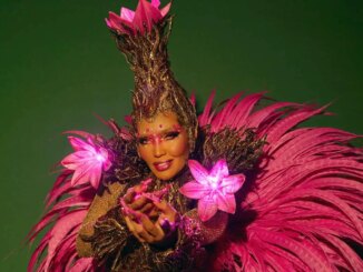 Karinah fecha desfile da Mangueira e brilha entre Rio e Salvador