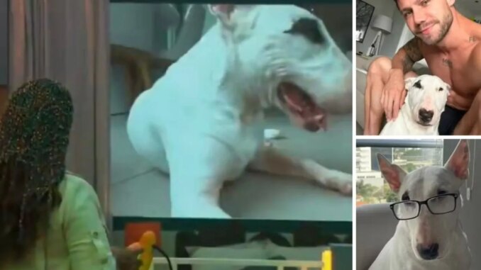 Solange Couto critica cachorro de Jonas